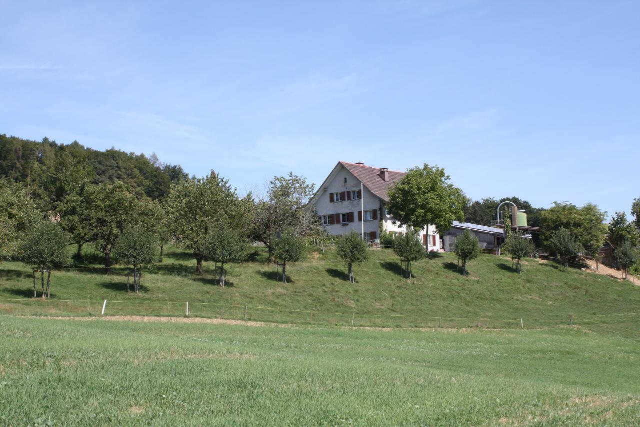 Bachenbulach Bnb Im Waldhof מראה חיצוני תמונה
